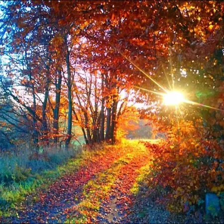 Lakefront Family Retreat Lägenhet *