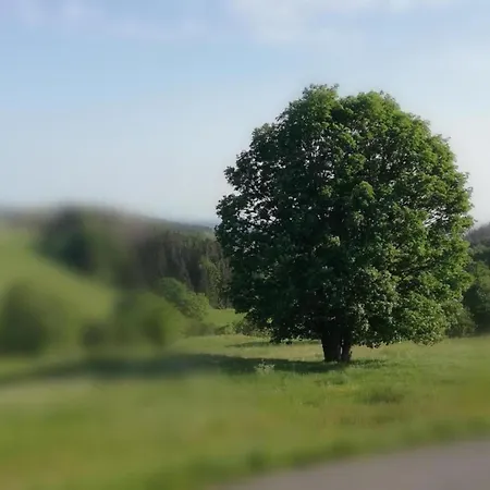 Appartement Lakefront Family Retreat Güntersberge