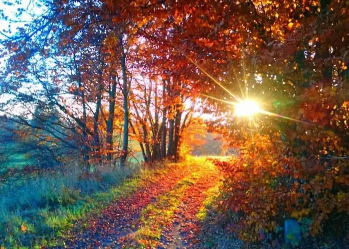 Lakefront Family Retreat Lägenhet *