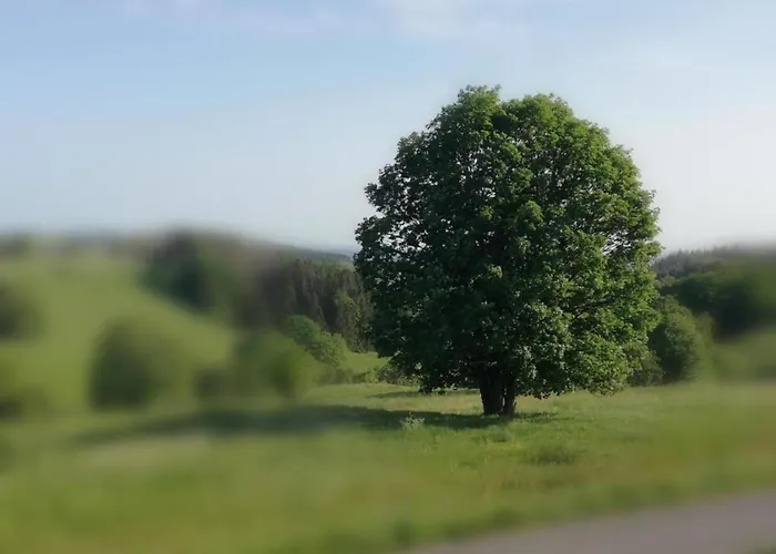 Lägenhet Lakefront Family Retreat Güntersberge