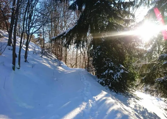 Apartment Lakefront Family Retreat Guntersberge